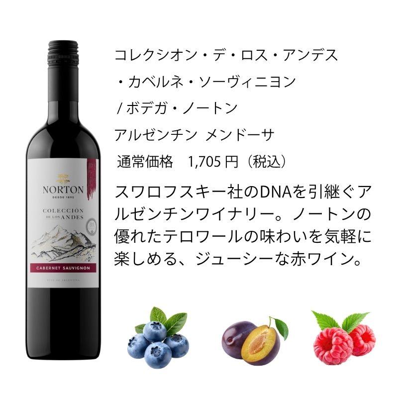 ワインセット エノテカ売れ筋！厳選バラエティー10本セット PP8-1