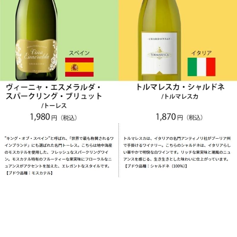ワイン ワインセット エノテカ売れ筋！厳選バラエティー10本セット