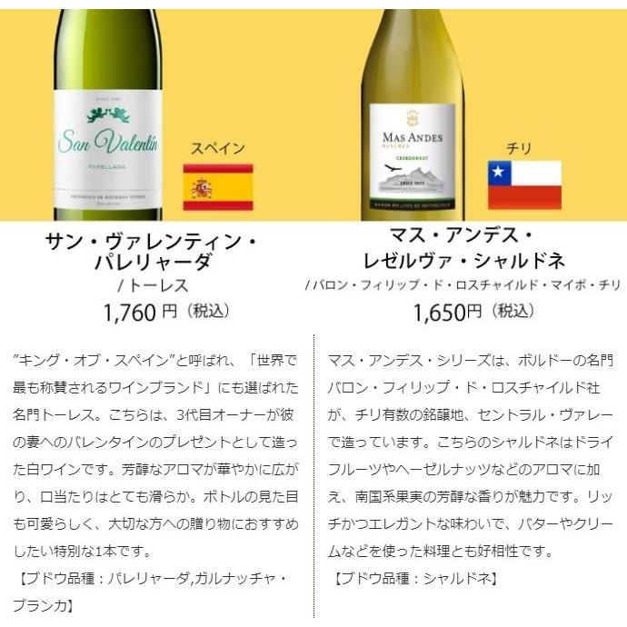 ワイン ワインセット エノテカ売れ筋!厳選バラエティー10本 ワイン ワインセット エノテカ売れ筋!厳選バラエティー10本