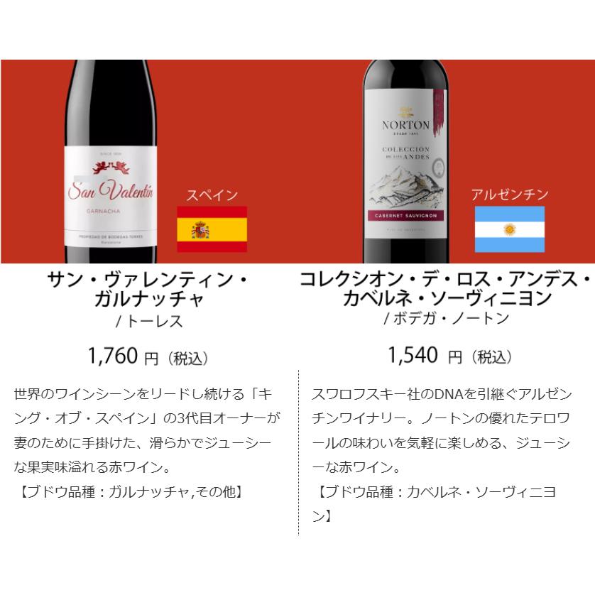 ワインセット エノテカ売れ筋！厳選バラエティー10本セット PP12-3