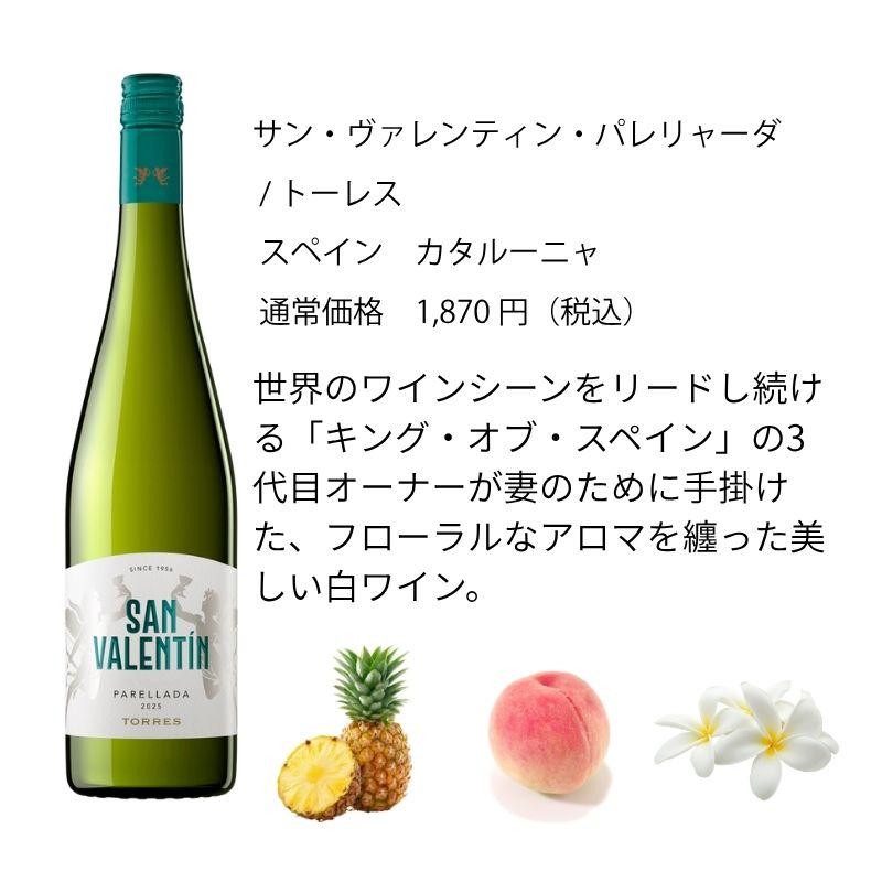 ワインセット エノテカ売れ筋！厳選バラエティー10本セット PP8-1