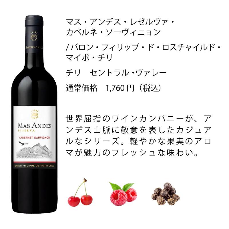 ワインセット エノテカ売れ筋！厳選バラエティー10本セット PP4-1