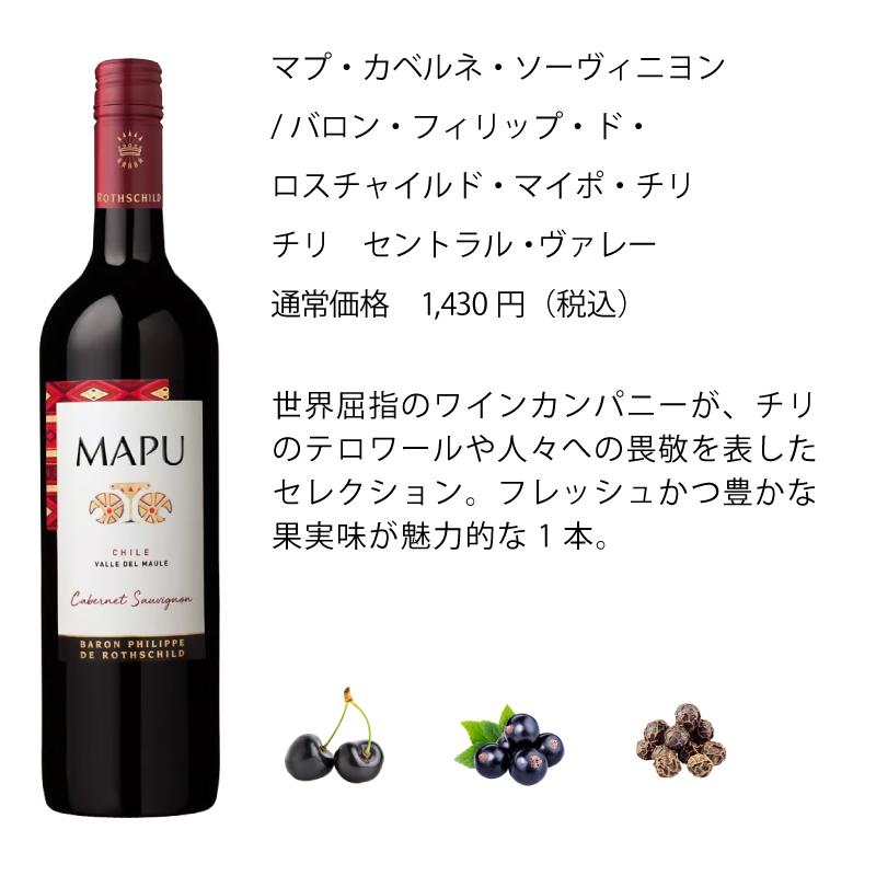 ワイン ワインセット エノテカ 超売れ筋赤ワイン5本セット [750ml x 5