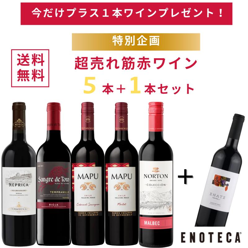 ワインセット エノテカ 送料無料 超売れ筋赤ワイン5本+1本セット [1/25