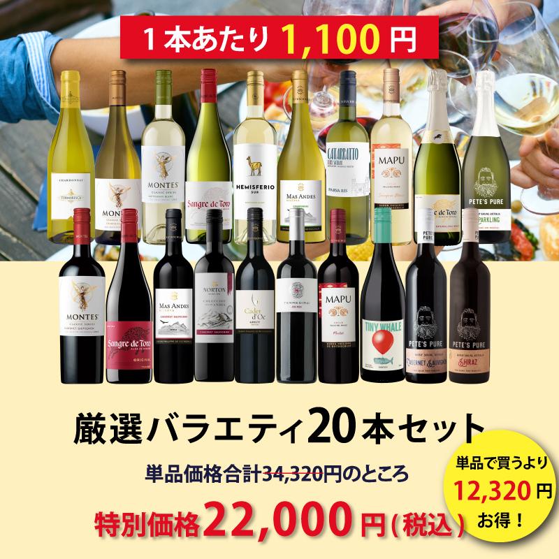 ワイン ワインセット エノテカ 厳選バラエティー20本セット RT9-1 9-2