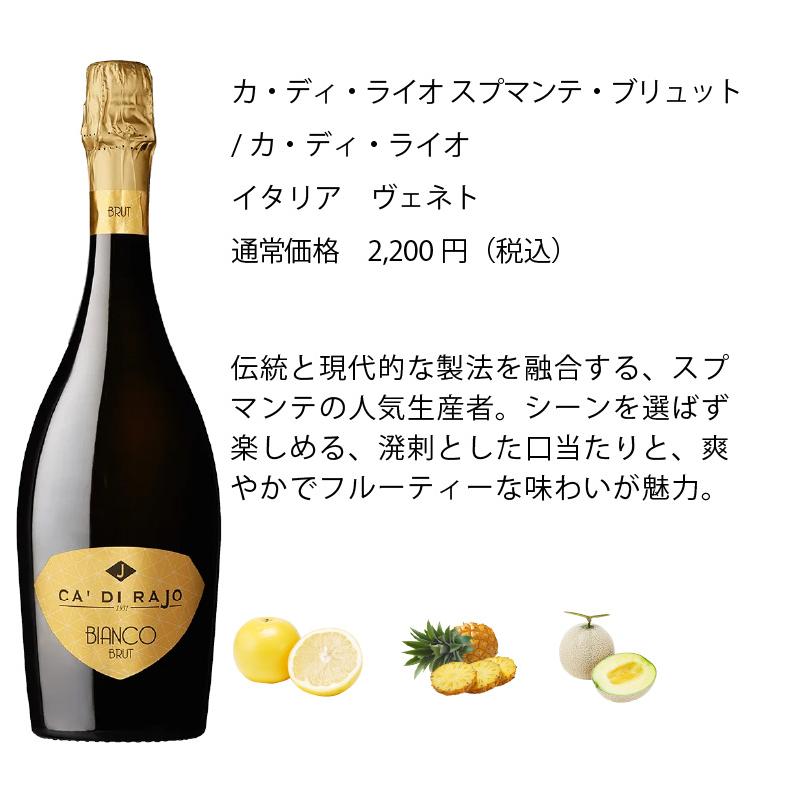 ワイン ワインセット エノテカ ソムリエ厳選 辛口スパークリング5本