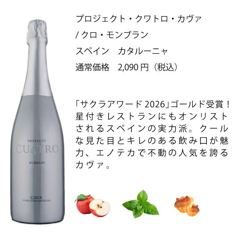 ワイン ワインセット エノテカ ソムリエ厳選 辛口スパークリング5本