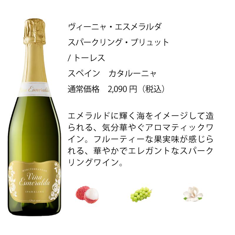 ワイン ワインセット エノテカ ソムリエ厳選 辛口スパークリング5本