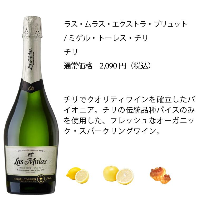 ワイン ワインセット エノテカ ソムリエ厳選 辛口スパークリング5本