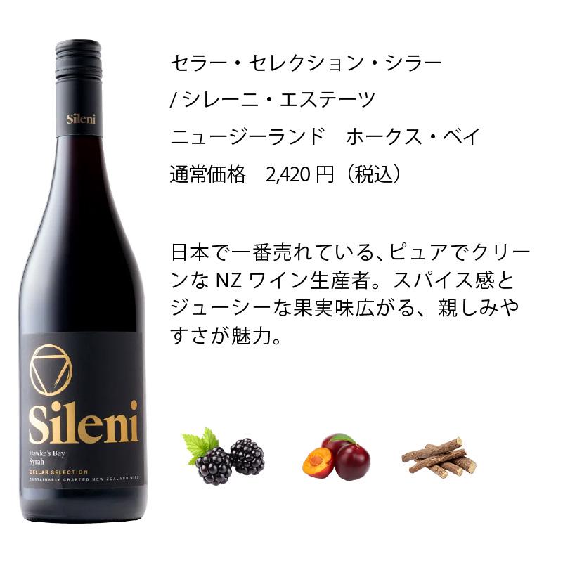 ワインセット エノテカ フルボディ赤ワイン6本セット RV4-1 [750ml x 6