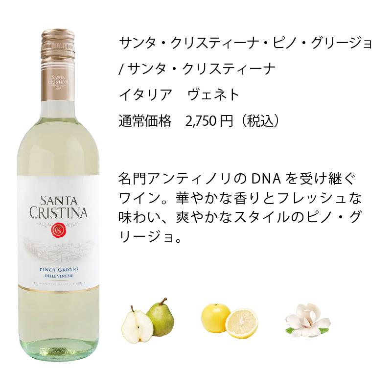 ワイン ワインセット エノテカ 辛口白ワイン6本セット WG2-1 [750ml x