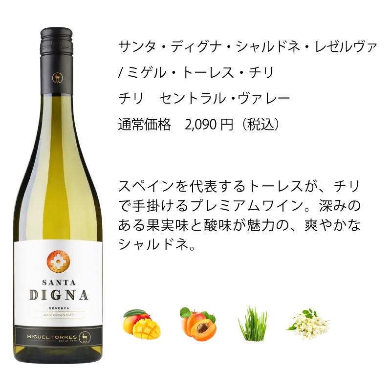 ワイン ワインセット エノテカ 辛口白ワイン6本セット WG2-1 [750ml x