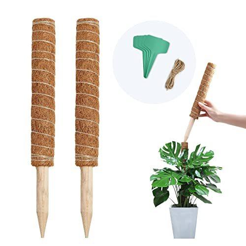 Youshy園芸支柱 観葉植物モンステラ 支柱 つる性植物 観葉植物 ココスティック支柱 植物サポートフラワースタンド ココナッツ支柱 花支え 30cm S 2618 Enouストア 通販 Yahoo ショッピング