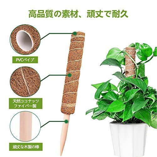 Youshy園芸支柱 観葉植物モンステラ 支柱 つる性植物 観葉植物 ココスティック支柱 植物サポートフラワースタンド ココナッツ支柱 花支 Ghqzjngucx Godawaripowerispat Com