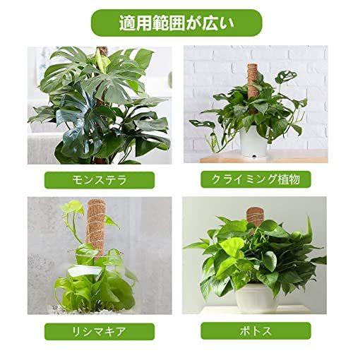 Youshy園芸支柱 観葉植物モンステラ 支柱 つる性植物 観葉植物 ココスティック支柱 植物サポートフラワースタンド ココナッツ支柱 花支え 30cm S 2618 Enouストア 通販 Yahoo ショッピング