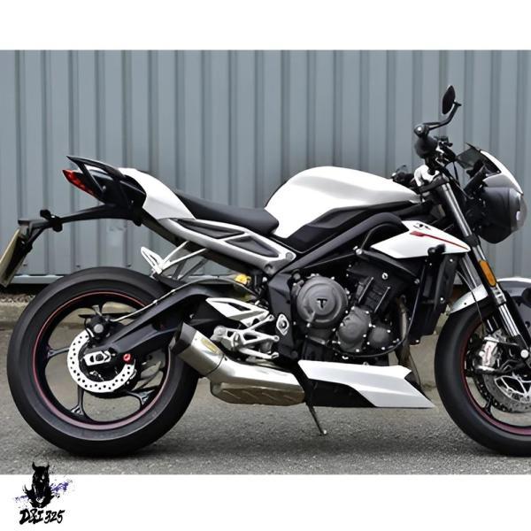 互換品 バイク リアアームレスト グラブハンドル シートハンドル グラブバー（ストリートトリプル765RS 765R 765S 765 RS R S ）.