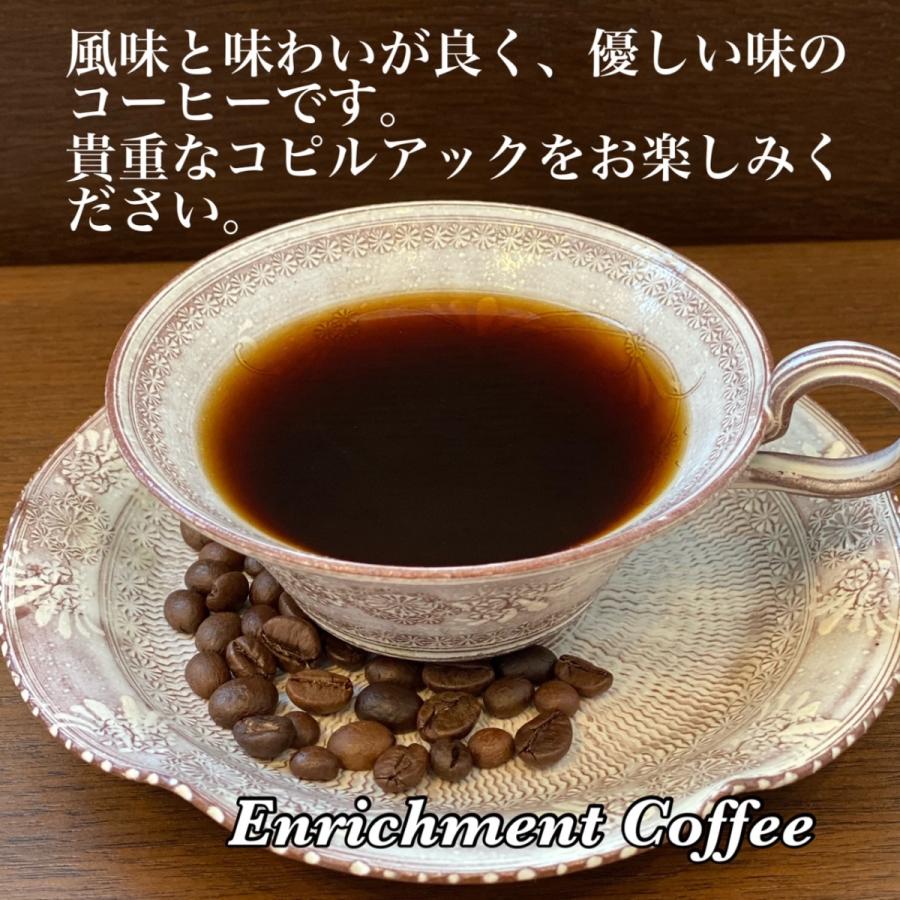 ジャコウネコ コーヒー コピルアック 贈答 ギフト最適 100%天然