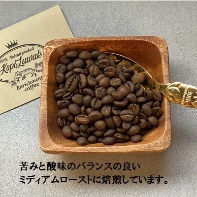 ルワックコーヒー　コピ・ルアク kopi luwak 500g 豆 ルワックコーヒー コピ・ルアク kopi luwak 500g 豆 楽天市場
