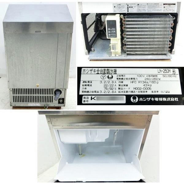 ホシザキ ビックアイス 全自動製氷機 LM-250M 2010年【中古】 : 業務用