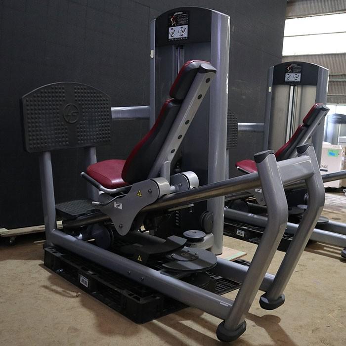 ライフフィットネス シーテッド・レッグプレス FZSLP ジム