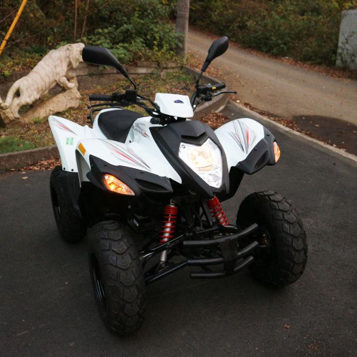 【送料無料】ADLY 四輪 バギー ATV50RS ホワイト 2019年 中古 【見学 千葉】【動産王】 |  | 01