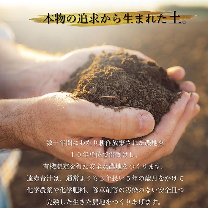 青汁 国産 有機 オーガニック 粒  遠赤青汁V1 1250粒 (ビン) 5個セット+1個サービスの画像