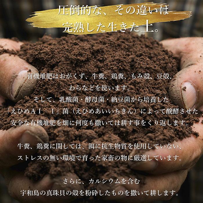 青汁 国産 有機 オーガニック 粒  遠赤青汁V1 1250粒 (ビン) 5個セット+1個サービスの画像