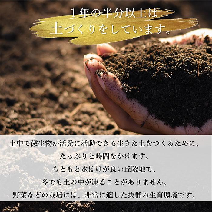 青汁 国産 有機 オーガニック 粒  遠赤青汁V1 1250粒 (ビン) 5個セット+1個サービスの画像