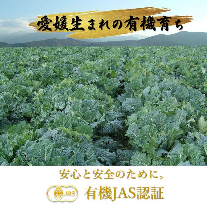 青汁 国産 有機 オーガニック 粒  遠赤青汁V1 1250粒 (ビン) 5個セット+1個サービスの画像