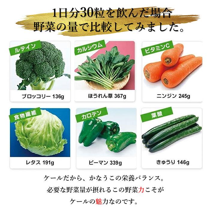 青汁 国産 有機 オーガニック 粒  遠赤青汁V1 1250粒 (ビン) 5個セット+1個サービスの画像