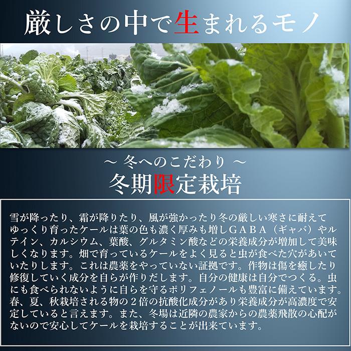 青汁 国産 有機 オーガニック 粒  遠赤青汁V2 1250粒(詰替)  5個セットで1個サービスの画像