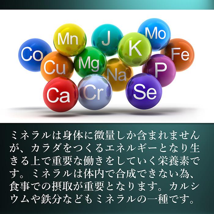 青汁 国産 有機 オーガニック 粒  遠赤青汁V3 1250粒(詰替) 3個セットで10%引き_4