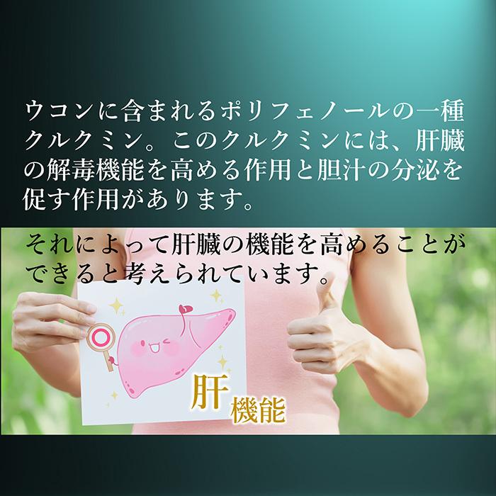 中島正雄／茜白梅抹茶茶碗／B11