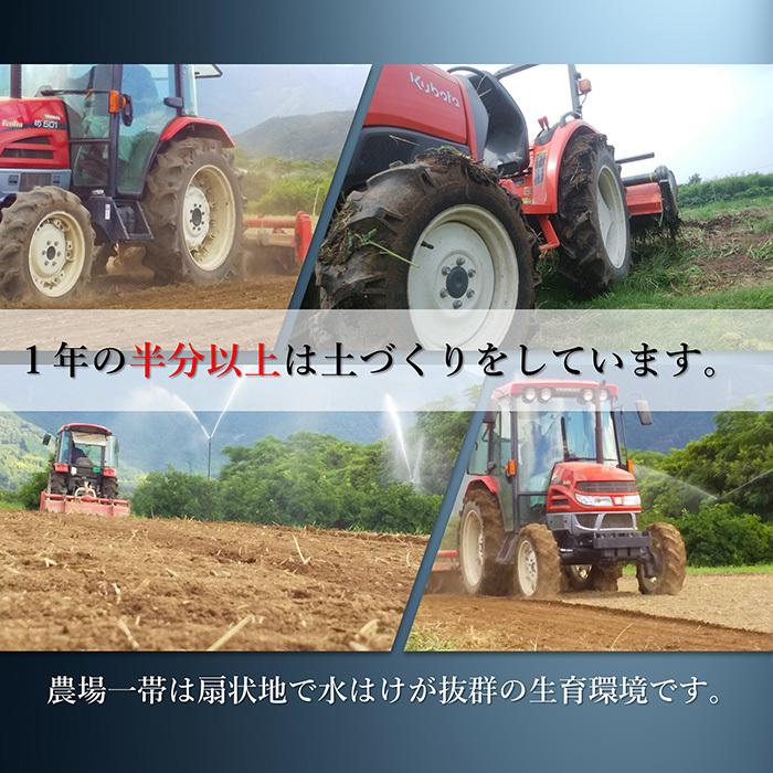 青汁 国産 有機 オーガニック 粒  遠赤青汁V8 1250粒(詰替) 5個セットで1個サービスの画像