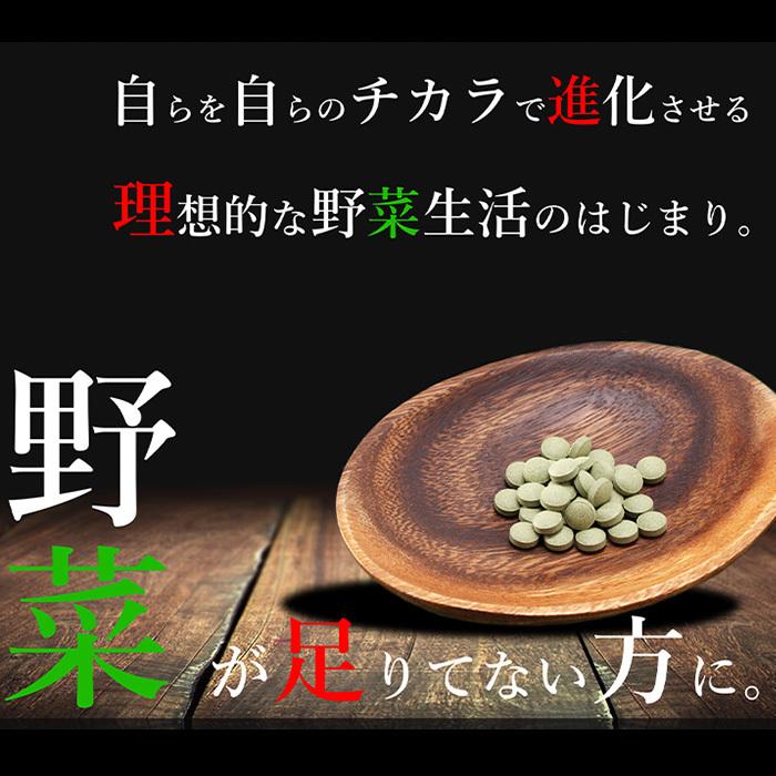 青汁 国産 有機 オーガニック 粒  遠赤青汁V8 1250粒(詰替) 5個セットで1個サービスの画像