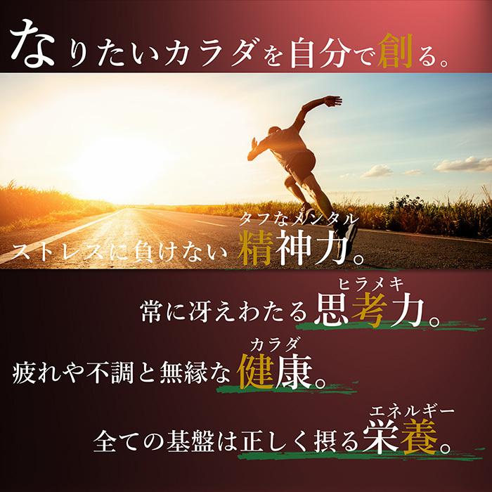青汁 国産 有機 オーガニック 粒 酵素 黒ニンニク 遠赤青汁V1 SUPER GOLD 1250粒(詰替) 3個セットで10%引きの画像