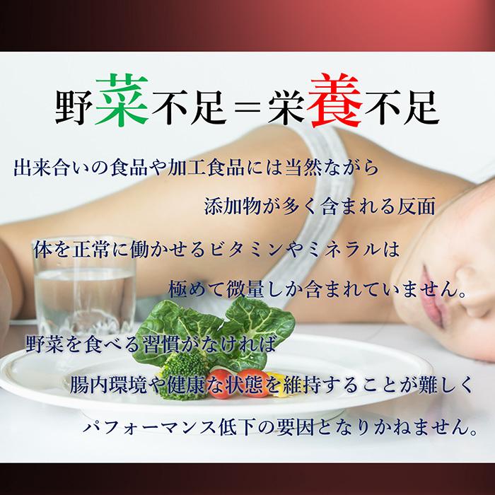 青汁 国産 有機 オーガニック 粒 酵素 黒ニンニク 遠赤青汁V1 SUPER GOLD 1250粒(詰替) 3個セットで10%引きの画像