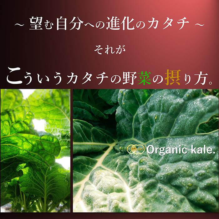 青汁 国産 有機 オーガニック 粒 酵素 黒ニンニク 遠赤青汁V1 SUPER GOLD 1250粒(詰替) 3個セットで10%引きの画像