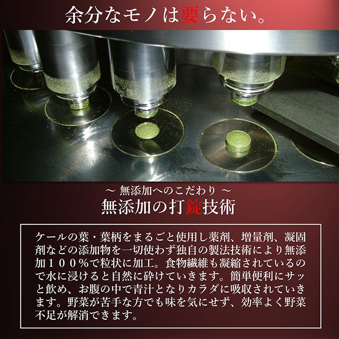 青汁 国産 有機 オーガニック 粒 酵素 黒ニンニク 遠赤青汁V1 SUPER GOLD 1250粒(詰替) 3個セットで10%引きの画像