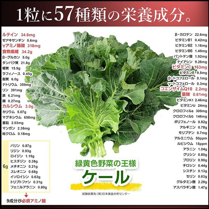 青汁 国産 有機 オーガニック 粒 酵素 黒ニンニク 遠赤青汁V1 SUPER GOLD 1250粒(詰替) 3個セットで10%引きの画像