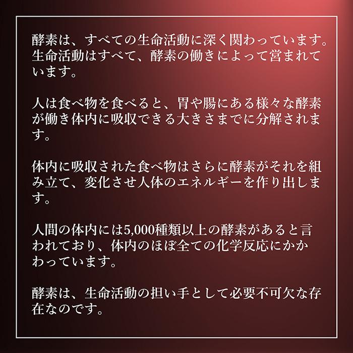 青汁 国産 有機 オーガニック 粒 酵素 黒ニンニク 遠赤青汁V1 SUPER GOLD 1250粒(詰替) 3個セットで10%引きの画像