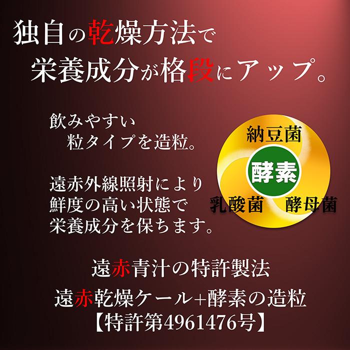 青汁 国産 有機 オーガニック 粒 酵素 黒ニンニク 遠赤青汁V1 SUPER GOLD 1250粒(詰替) 3個セットで10%引きの画像