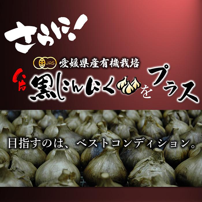 青汁 国産 有機 オーガニック 粒 酵素 黒ニンニク 遠赤青汁V1 SUPER GOLD 1250粒(詰替) 3個セットで10%引きの画像