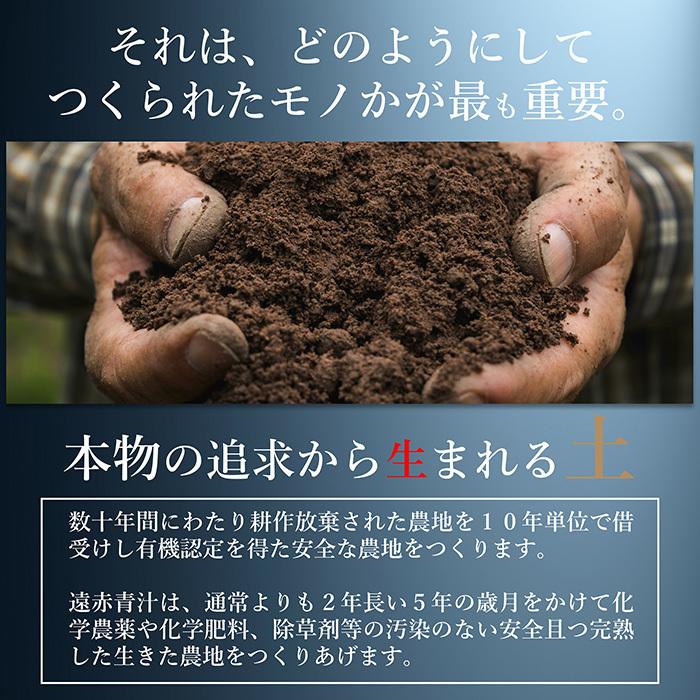 青汁 国産 有機 オーガニック 粒  ゼオライト 遠赤青汁V1 DX 1250粒 (詰替) 5個セット1個サービスの画像