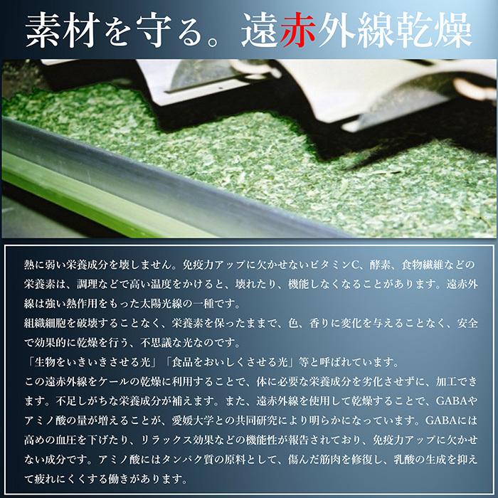 青汁 国産 有機 オーガニック 粒  ゼオライト 遠赤青汁V1 DX 1250粒 (詰替) 5個セット1個サービスの画像