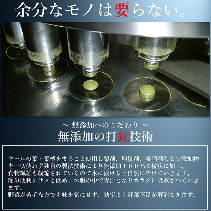 青汁 国産 有機 オーガニック 粒  ゼオライト 遠赤青汁V1 DX 1250粒 (詰替) 5個セット1個サービスの画像