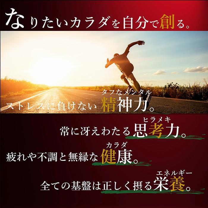 青汁 国産 有機 オーガニック 粒  遠赤青汁V1 SUPERGOLD EX  1500粒(詰替) 2個セットで5%引きの画像