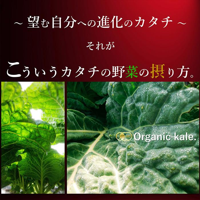 青汁 国産 有機 オーガニック 粒  遠赤青汁V1 SUPERGOLD EX  1500粒(詰替) 2個セットで5%引きの画像