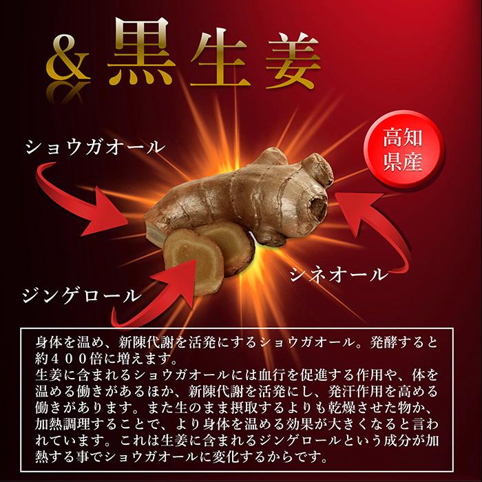 青汁 国産 有機 オーガニック 粒  遠赤青汁V1 SUPERGOLD EX  1500粒(詰替) 2個セットで5%引きの画像