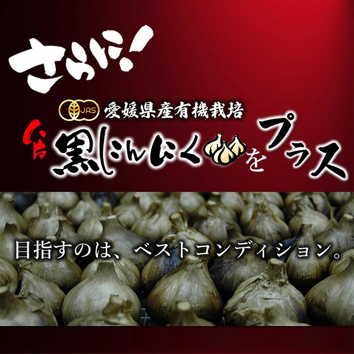 青汁 国産 有機 オーガニック 粒  遠赤青汁V1 SUPERGOLD EX  1500粒(詰替) 2個セットで5%引きの画像
